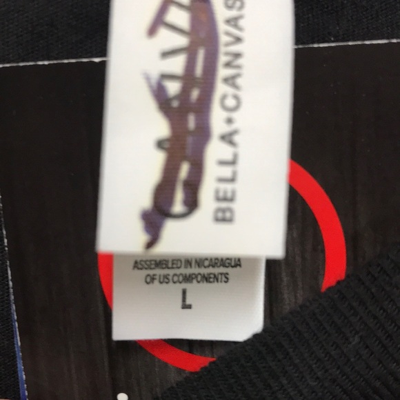 South Carolina Gamecocks Reverse TriBlend  Tee L - Picture 3 of 3